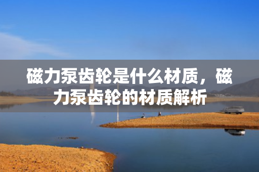 磁力泵齿轮是什么材质，磁力泵齿轮的材质解析