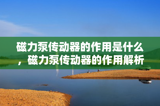 磁力泵传动器的作用是什么，磁力泵传动器的作用解析