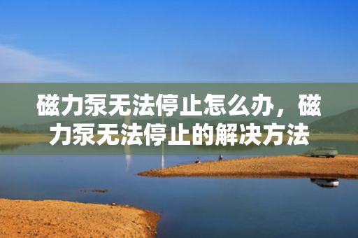 磁力泵无法停止怎么办，磁力泵无法停止的解决方法
