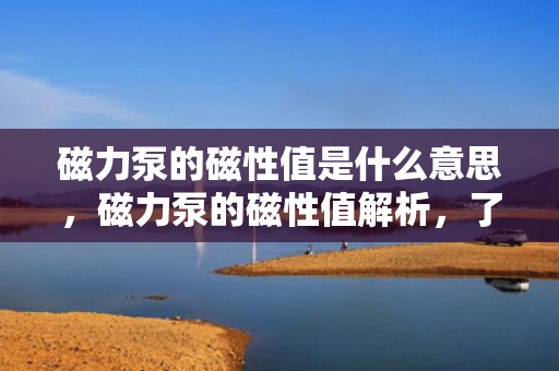 磁力泵的磁性值是什么意思，磁力泵的磁性值解析，了解这一关键参数的含义