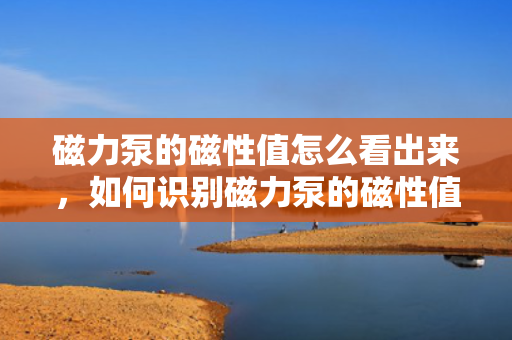 磁力泵的磁性值怎么看出来，如何识别磁力泵的磁性值