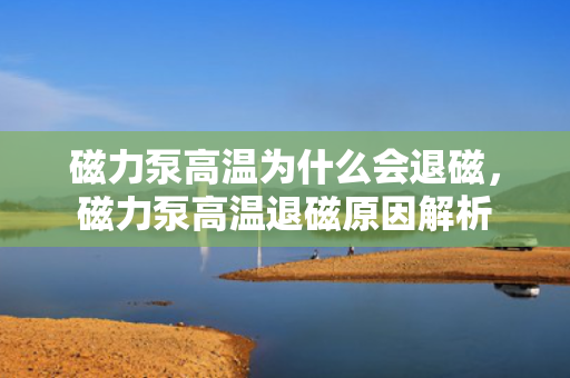 磁力泵高温为什么会退磁，磁力泵高温退磁原因解析