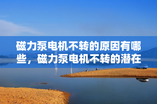 磁力泵电机不转的原因有哪些，磁力泵电机不转的潜在原因分析