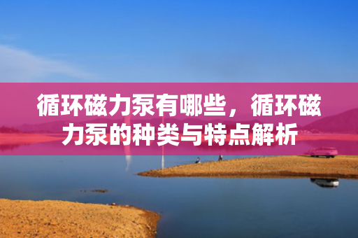 循环磁力泵有哪些，循环磁力泵的种类与特点解析