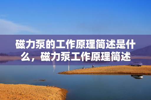 磁力泵的工作原理简述是什么，磁力泵工作原理简述