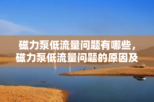 磁力泵低流量问题有哪些，磁力泵低流量问题的原因及解决方案