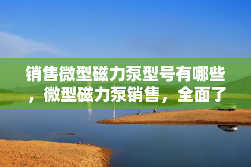 销售微型磁力泵型号有哪些，微型磁力泵销售，全面了解各型号选择