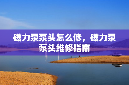磁力泵泵头怎么修，磁力泵泵头维修指南