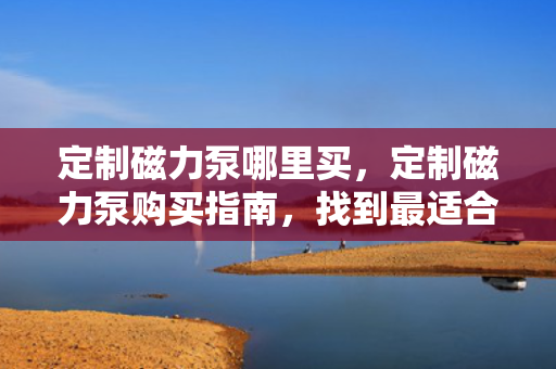 定制磁力泵哪里买，定制磁力泵购买指南，找到最适合您的磁力泵供应商