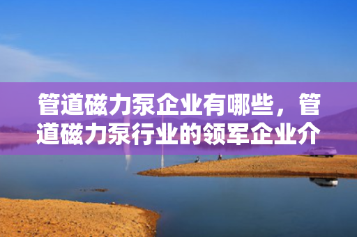 管道磁力泵企业有哪些，管道磁力泵行业的领军企业介绍