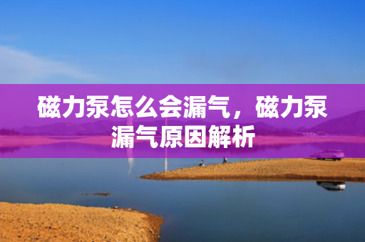 磁力泵怎么会漏气，磁力泵漏气原因解析