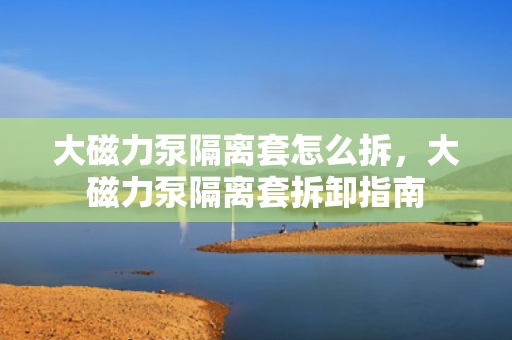 大磁力泵隔离套怎么拆，大磁力泵隔离套拆卸指南