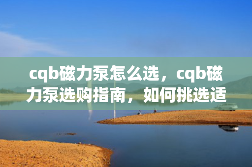 cqb磁力泵怎么选，cqb磁力泵选购指南，如何挑选适合的磁力泵