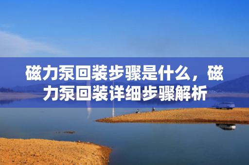 磁力泵回装步骤是什么，磁力泵回装详细步骤解析