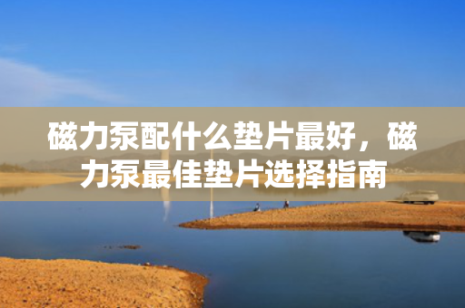 磁力泵配什么垫片最好，磁力泵最佳垫片选择指南