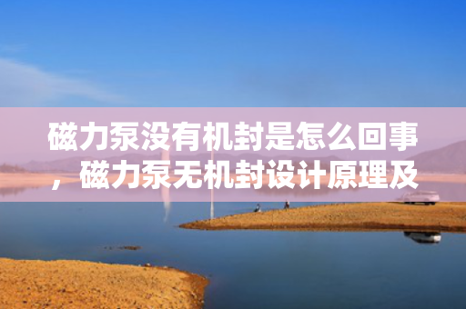 磁力泵没有机封是怎么回事，磁力泵无机封设计原理及优势解析