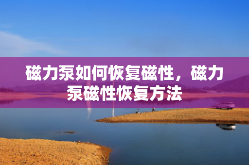 磁力泵如何恢复磁性，磁力泵磁性恢复方法
