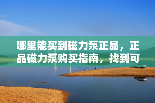 哪里能买到磁力泵正品，正品磁力泵购买指南，找到可靠的购买渠道