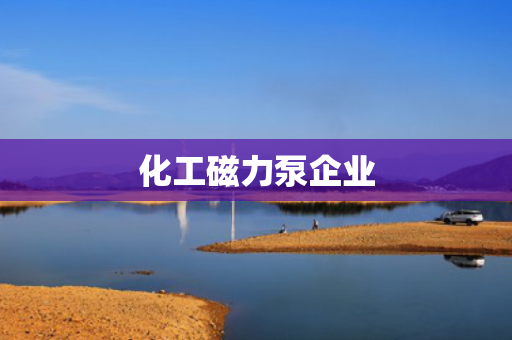 化工磁力泵企业