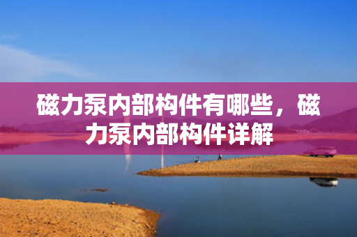 磁力泵内部构件有哪些，磁力泵内部构件详解