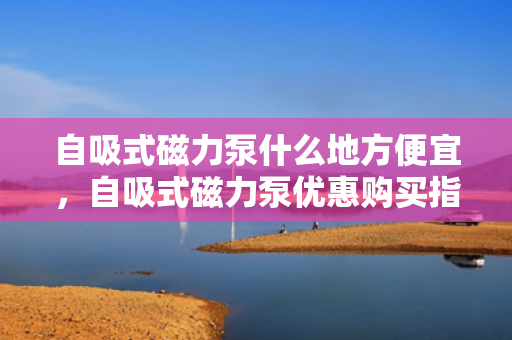 自吸式磁力泵什么地方便宜，自吸式磁力泵优惠购买指南，寻找性价比高的购买地点