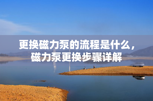 更换磁力泵的流程是什么，磁力泵更换步骤详解