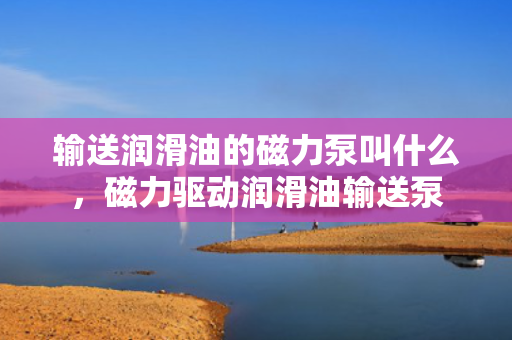 输送润滑油的磁力泵叫什么，磁力驱动润滑油输送泵