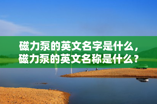 磁力泵的英文名字是什么，磁力泵的英文名称是什么？