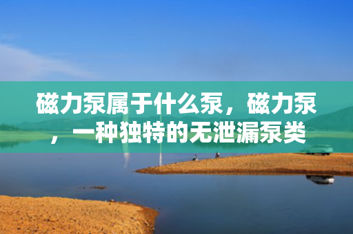磁力泵属于什么泵，磁力泵，一种独特的无泄漏泵类
