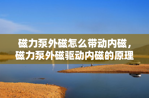 磁力泵外磁怎么带动内磁，磁力泵外磁驱动内磁的原理与机制