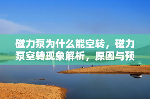 磁力泵为什么能空转，磁力泵空转现象解析，原因与预防措施