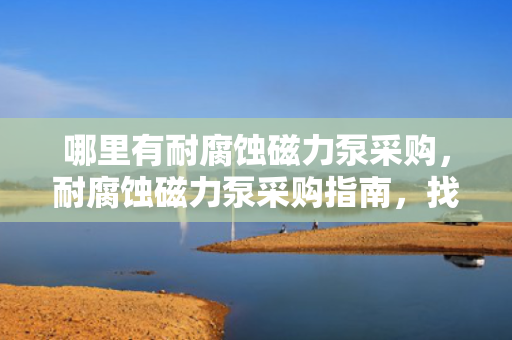 哪里有耐腐蚀磁力泵采购，耐腐蚀磁力泵采购指南，找到最适合您的供应商