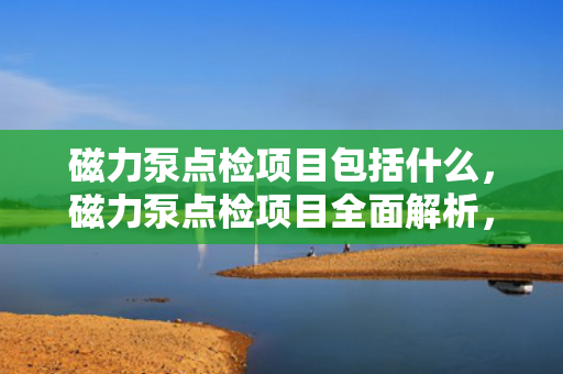 磁力泵点检项目包括什么，磁力泵点检项目全面解析，确保设备高效稳定运行的关键步骤