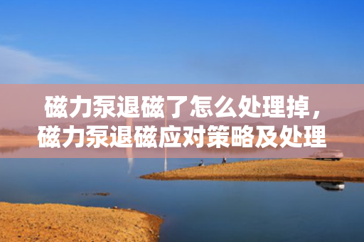 磁力泵退磁了怎么处理掉，磁力泵退磁应对策略及处理方法
