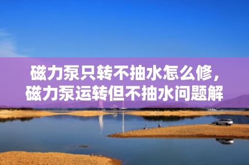 磁力泵只转不抽水怎么修，磁力泵运转但不抽水问题解决方案