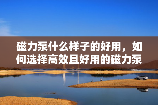 磁力泵什么样子的好用，如何选择高效且好用的磁力泵？