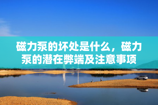 磁力泵的坏处是什么，磁力泵的潜在弊端及注意事项