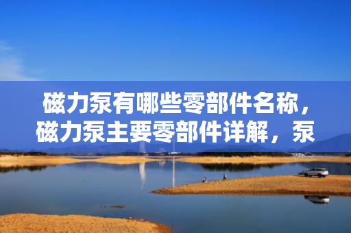 磁力泵有哪些零部件名称，磁力泵主要零部件详解，泵体、叶轮、磁力驱动等关键组成部分