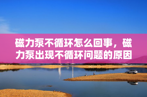 磁力泵不循环怎么回事，磁力泵出现不循环问题的原因及解决方法